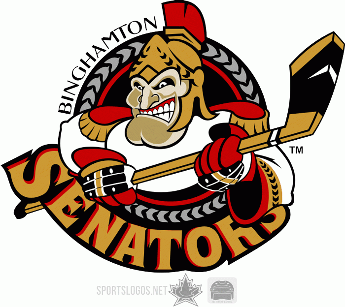 Binghamton Senators 2002 03-Pres Primary Logo iron on heat transfer...